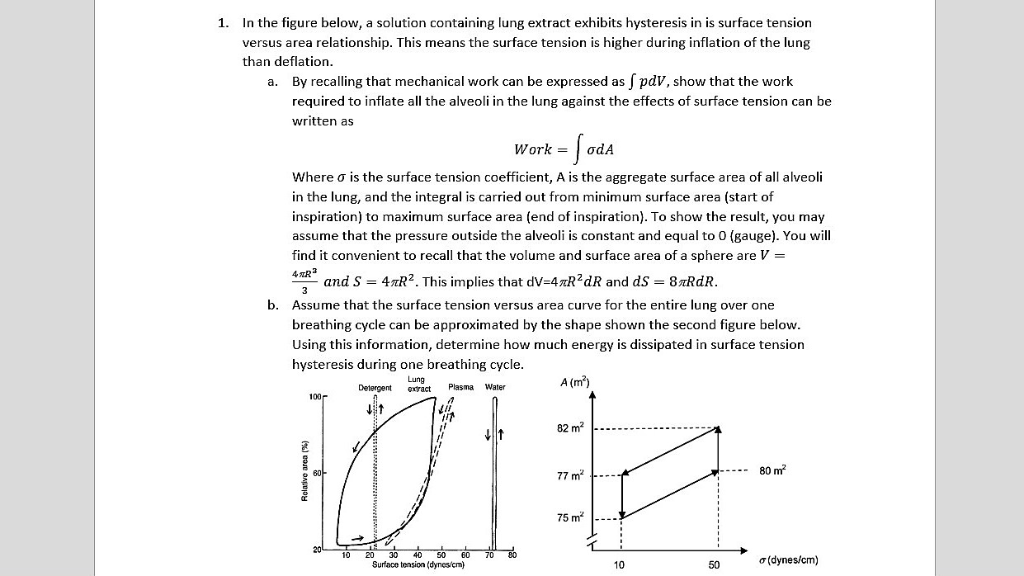 Solved Q. Based on the figure above (respiratory surface