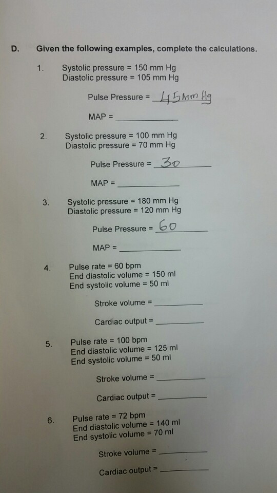 Solved D Given The Following Examples Complete The Chegg Com