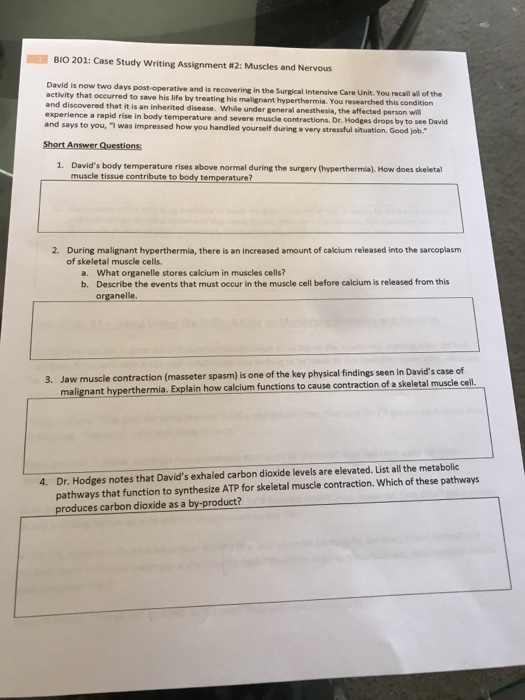 How do muscles work picture