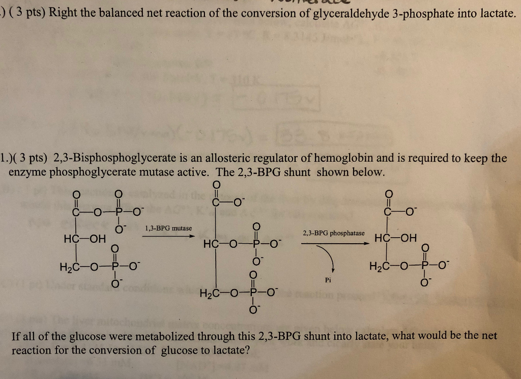 ) (3 pts) Right the balanced net reaction of the conversion of glyceraldehyde 3-phosphate into lactate. 1.)(3 pts) 2,3-Bisphosphoglycerate is an allosteric regulator of hemoglobin and is required to keep the enzyme phosphoglycerate mutase active. The 2,3-BPG shunt shown below. CO O 1,3-BPG mutase 2.3-BPG phosphatase HC-OH HC-OH -O H2C-O-P-O ње-О-Р-O If all of the glucose were metabolized through this 2,3-BPG shunt into lactate, what would be the net reaction for the conversion of glucose to lactate?
