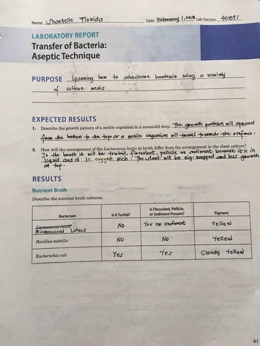 Date å£¬eleeeng H 10 8 Lab Section 40er Name Chegg Com