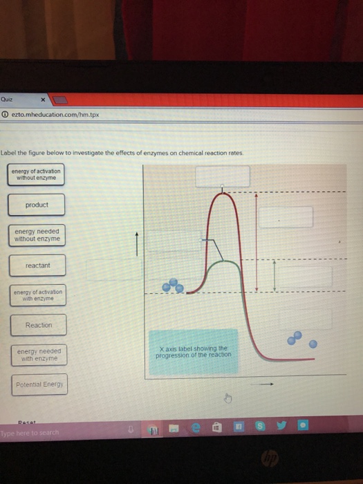 Solved: Label The Figure Below To Investigate The Effects ... enzyme diagram labeled 