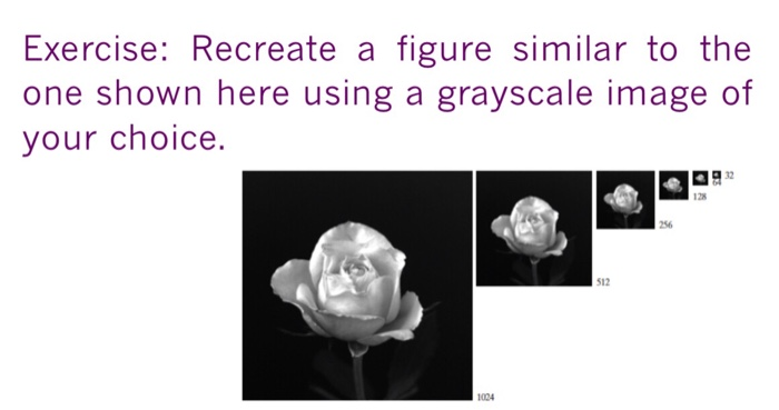 Exercise: Recreate a figure similar to the one shown here using a grayscale image of your choice. 128 256 512 1024