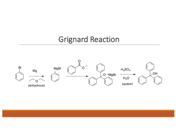 What is a synthesis essay picture