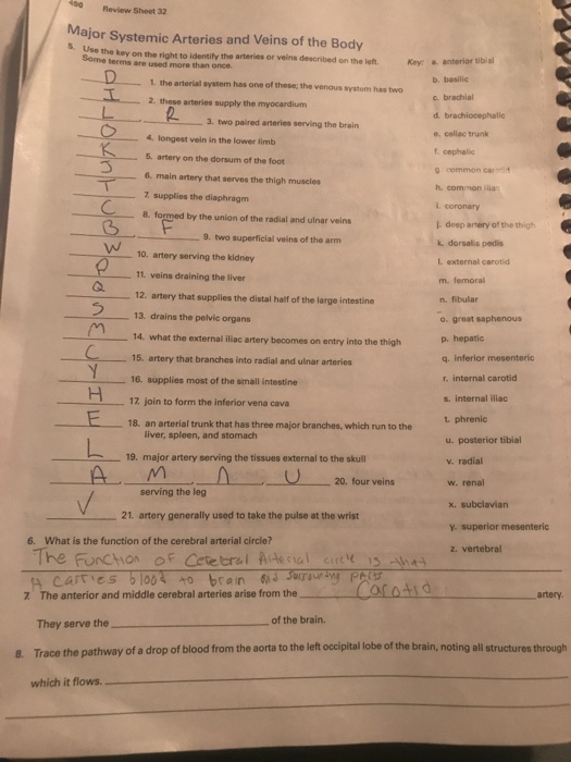 Review Sheet Exercise 19 Blood Answers 15+ Pages Summary [800kb] - Latest Update 