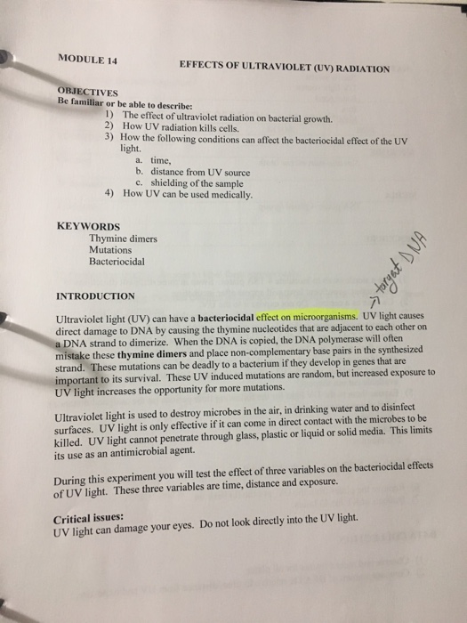 Solved Module 14 Effects Of Ultraviolet Uv Radiation Ob Chegg Com