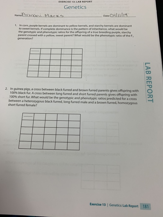 EXERCISE 13: LAB REPORT Genetics Date: 1. In corn, | Chegg.com