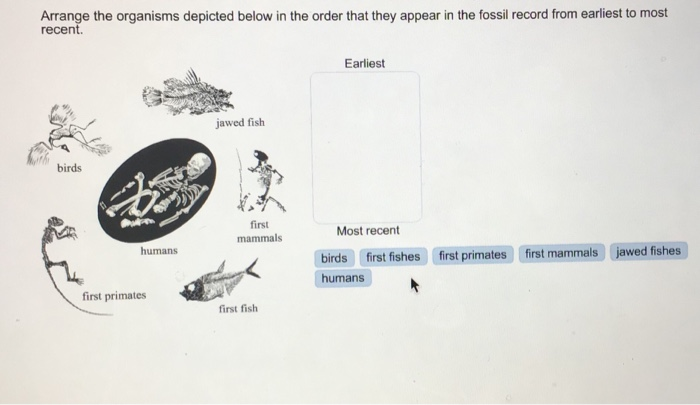 Solved Arrange the organisms depicted below in the order 