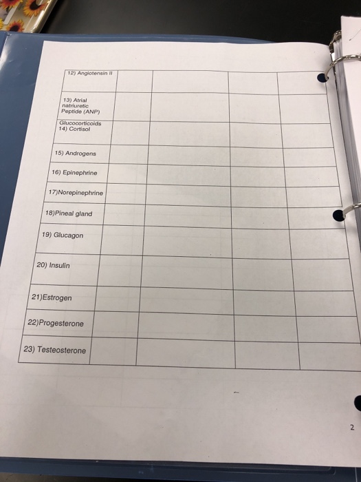 Solved The Endocrine System Hyper Excess Hypo Less Hormon