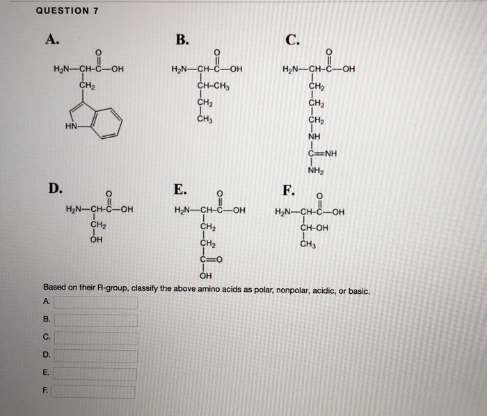 QUESTION 7 A. H2N-CH-C-OH H2N CH-C-OH H2N-CH-C-OH CH-CH3 CH2 CH3 CH2 CH2 NH HN NH2 D. E.o F. H2N-CH-C-OH H2N-CH-C-OH H2N-CH-C-OH CH2 OH CH-OH CH3 Based on their R-group, classify the above amino acids as polar, nonpolar, acidic, or basic. A. C. E.