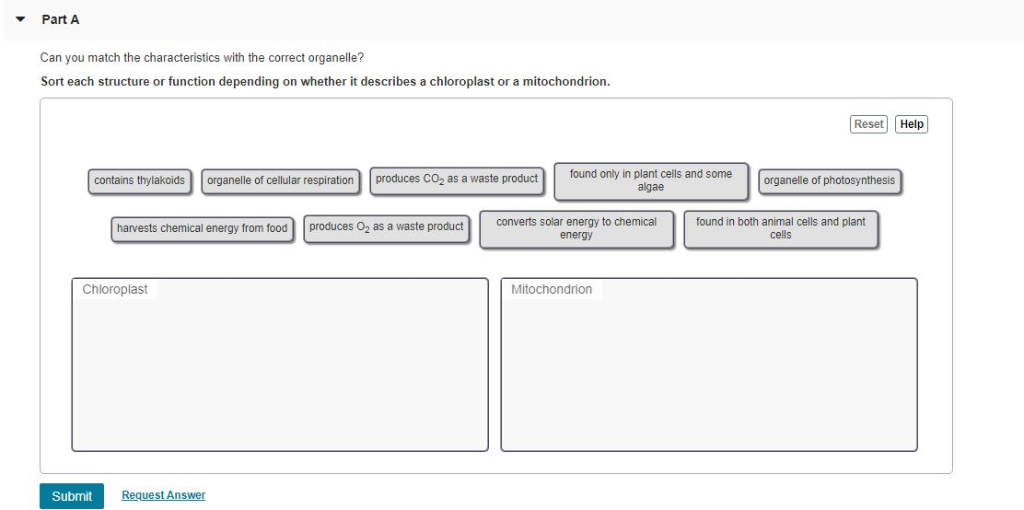 Part A Can You Match The Characteristics With The Chegg Com