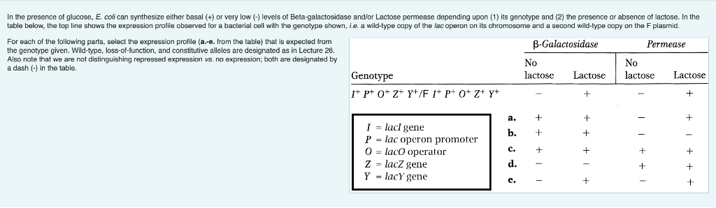 Solved In The Presence Of Glucose E Coli Can Synthesize Chegg Com