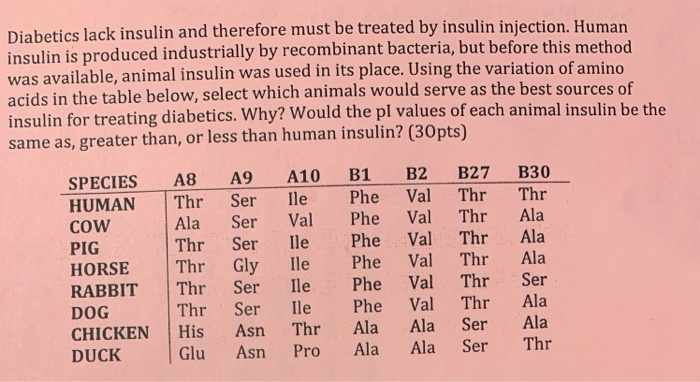 can you give a dog human insulin