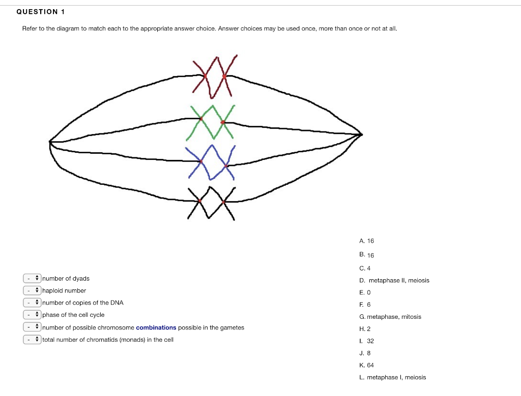 Solved Question 1 Refer To The Diagram To Match Each To T Chegg Com
