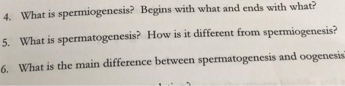 Solved What Is Spermiogenesis Begins With What And Ends - 