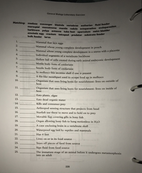 Solved Animal Diversity HOMEWORK 16: ANIMAL DIVERSITY Name Solved Animal Diversity HOMEWORK 16: ANIMAL DIVERSITY Name