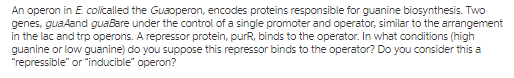 genes, guaAand guaBare under the control of a single promoter and operator, similar to the arrangement guanine or low guanine) do you suppose this repressor binds to the operator? Do you consider this a repressible or inducible operon?