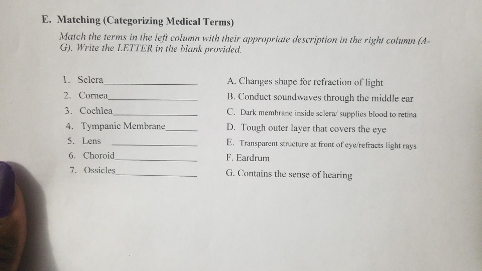 Solved E Matching Categorizing Medical Terms Match The Chegg Com