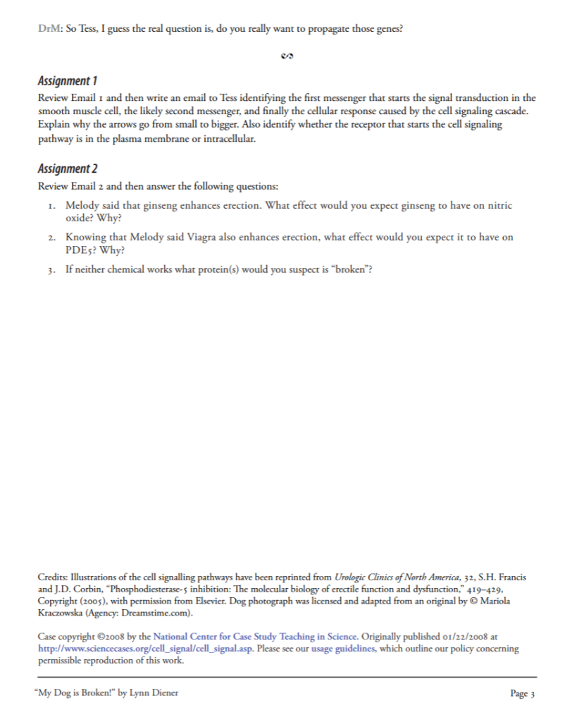 What effect does ginseng have on nitric oxide image