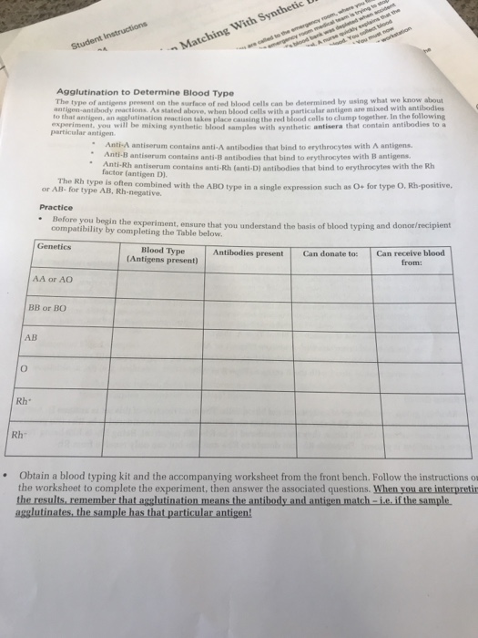 Codominance worksheet (blood types) picture