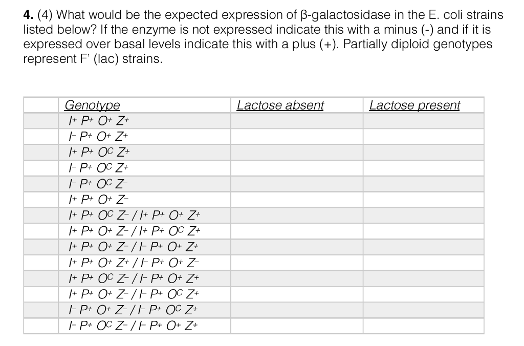 Solved What Would Be The Expected Expression Of B Galacto Chegg Com