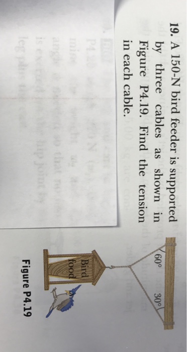 A 150 N Bird Feeder: Elevate Your Backyard Oasis