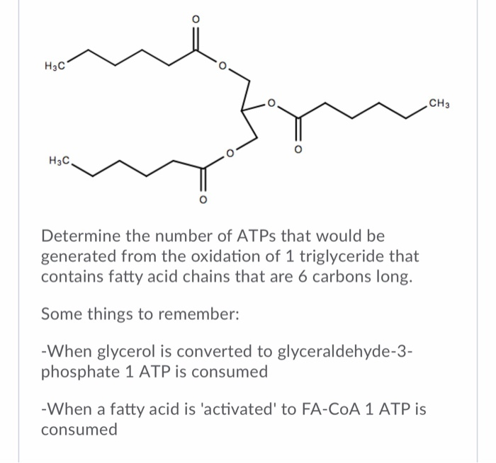 Нас CH3 H3C Determine the number of ATPs that would be generated from the oxidation of 1 triglyceride that contains fatty acid chains that are 6 carbons long. Some things to remember: When glycerol is converted to glyceraldehyde-3- phosphate 1 ATP is consumed When a fatty acid is activated to FA-CoA 1 ATP is consumed