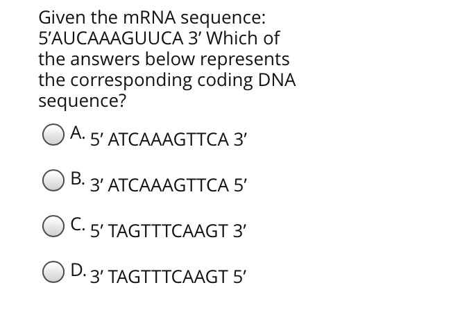 Solved Deoxyribose Nucleoside Triphosphate Dntp Mix Is An Chegg Com