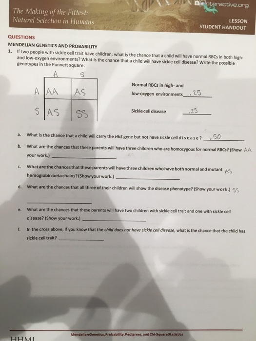 Solved If Two People With Sickle Cell Trait Have Children Chegg Com