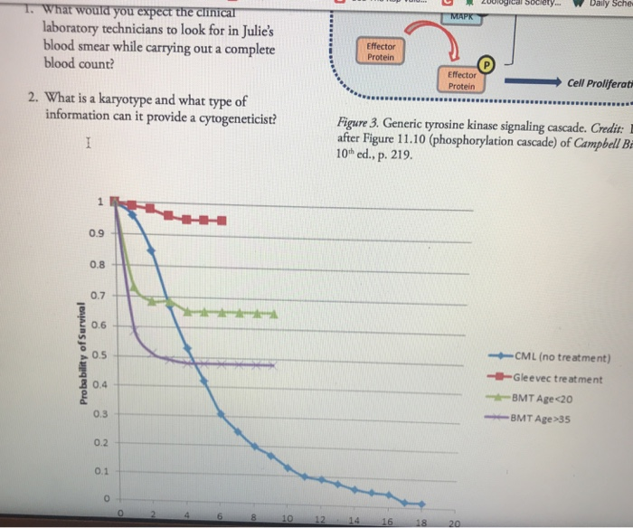 Une Lablet A Day May Keep Cancer Away 6y Adam J Chegg Com