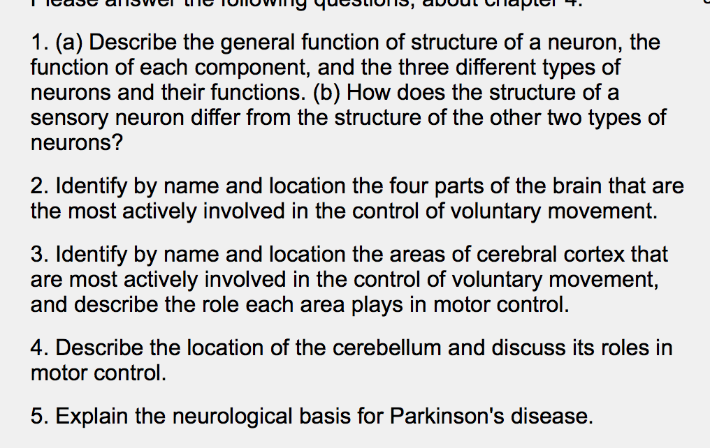 neuron types and functions
