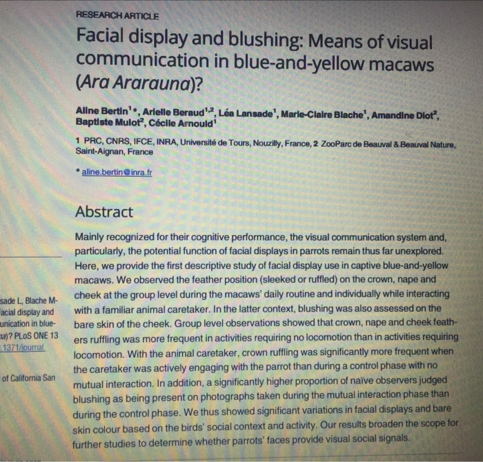 RESEARCH ARTICLE Facial display and blushing: Means of visual communication in blue-and-yellow macaws (Ara Ararauna)? Allne Bertin , Arlelle Beraud12, Léa Lansade, Marle-Clalre Blache, Amandine Dlot? Baptiste Mulot2, Céclle Arnould 1 PRC, CNRS, IFCE, INRA, Université de Tours, Nouzlly, France, 2 ZooParc de Beauval &Beauval Nature, Saint-Aignan, France aline.bertininra.fr Abstract Mainly recognized for their cognitive performance, the visual communication system and, particularly, the potential function of facial displays in parrots remain thus far unexplored. Here, we provide the first descriptive study of facial display use in captive blue-and-yellovw macaws. We observed the feather position (sleeked or ruffled) on the crown, nape and cheek at the group level during the macaws daily routine and individually while interacting with a familiar animal caretaker. In the latter context, blushing was also assessed on the bare skin of the cheek. Group level observations showed that crown, nape and cheek feath- ers ruffling was more frequent in activities requiring no locomotion than in activities requiring locomotion. With the animal caretaker, crown ruffing was significantly more frequent when the caretaker was actively engaging with the parrot than during a control phase with no mutual interaction. In addition, a significantly higher proportion of naive observers judged blushing as being present on photographs taken during the mutual interaction phase than during the control phase. We thus showed significant variations in facial displays and bare skin colour based on the birds social context and activity. Our results broaden the scope further studies to determine whether parrots faces provide visual social signals. L, Blache M acial display and unication in blue a)? PLoS ONE 13 sade of California San