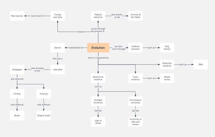 Study Guide Concept Mapping Patterns Of Evolution