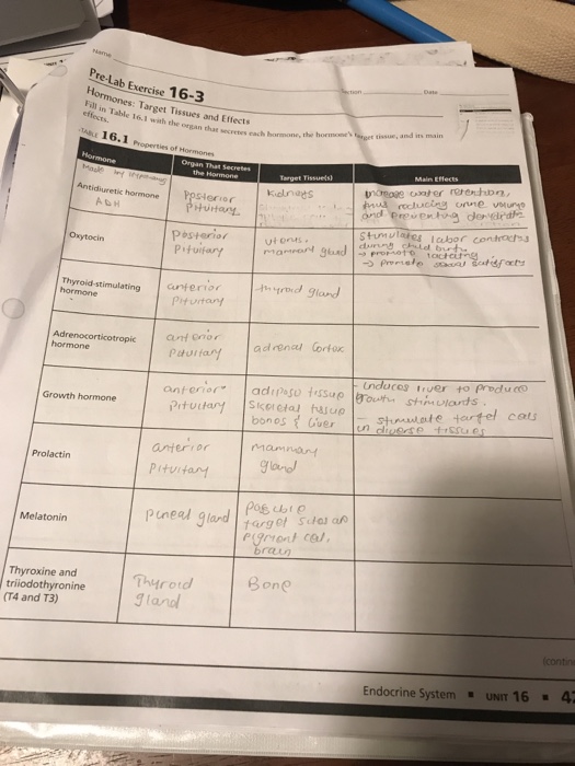 Anatomy And Physiology Lab Exercise 16 Answers 49+ Pages Summary [2.1mb] - Updated 