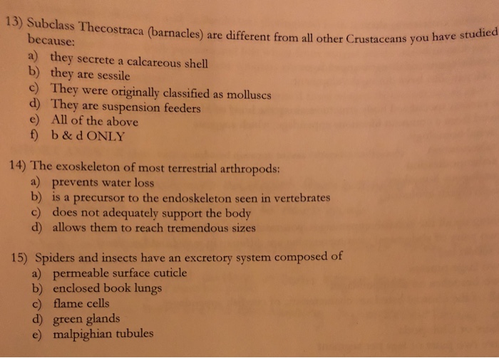 Solved 13 Subclass Thecostraca Barnacles Are Different