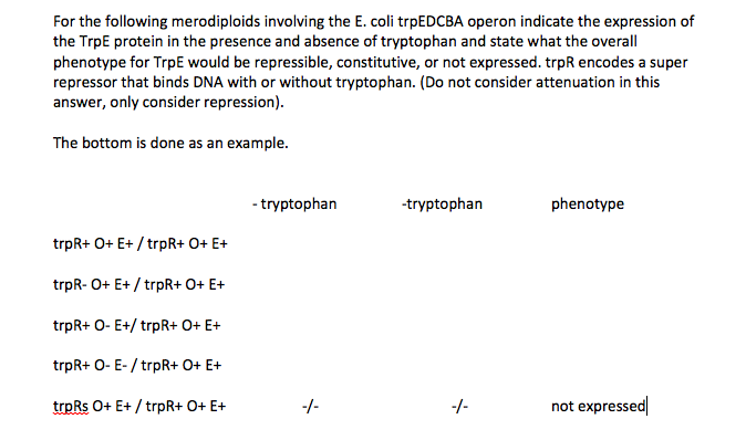 For the following merodiploids involving the E. coli trpEDCBA operon indicate the expression of the TrpE protein in the presence and absence of tryptophan and state what the overall phenotype for TrpE would be repressible, constitutive, or not expressed. trpR encodes a super repressor that binds DNA with or without tryptophan. (Do not consider attenuation in this answer, only consider repression) The bottom is done as an example. tryptophan tryptopharn phenotype trpR+ O+ E+/trpR+ 0+ E+ trpR-O+ E+/trpR+ 0+ E+ trpR+ O- E+trpR+ O+ E+ trpR+O-E-/trpR+ O+ E+ trpRs O+ E+/trpR+ O+E+ not expresse