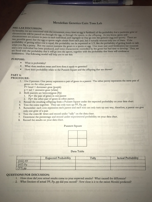 Mendelian Genetics Coin Toss Lab Answer Key 40+ Pages Summary [1.5mb] - Latest Update 