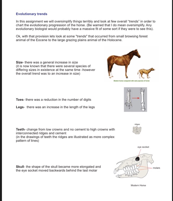 An Introduction to Slide Plates – The Horse