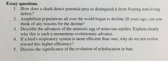 College essay questions picture