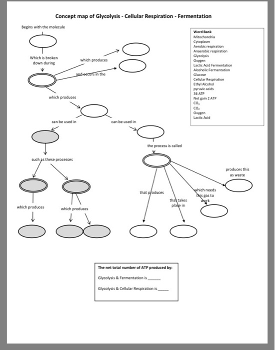 Solved Concept Map Of Glycolysis Cellular Respiration Fer Chegg Com