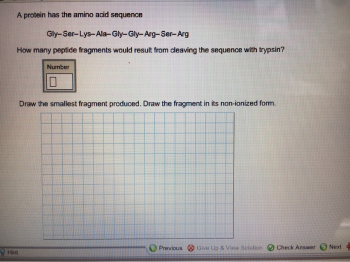 Solved A Protein Has The Amino Acid Sequence GlySerLys