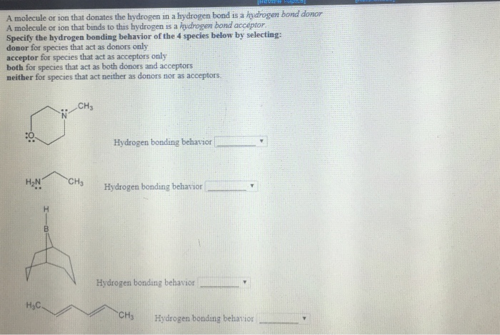 Question & Answer: A molecule or ion that donates the hydrogen in a hydrogen bond is a ndrogen bond donor A..... 1 A molecule or ion that donates the hydrogen in a hydrogen bond is a ndrogen bond donor A molecule or ion that binds to this hydrogen is a indrogen bond acceptor Specify the hydrogen bonding behavior of the 4 species below by selecting: donor for species that act as donors only acceptor for species that act as acceptors only both for species that act as both donors and acceptors neither for species that act neither as donors nor as acceptors. CHs :0 Hydrogen bonding behavior H2N H3 Hydrogen bondingbehavior! Hydrogen bonding behavior H3C