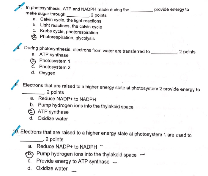 Solved Can Someone Please Correct The Marked Off Question Chegg Com