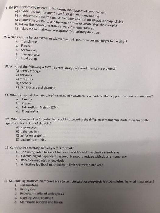 Presence Of Cholesterol In The Plasma Membranes Of Chegg Com