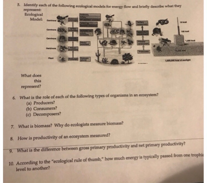 Solved 5 Identify Each Of The Following Ecological Model - 