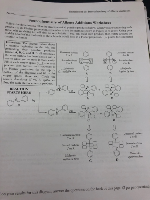 Solved Name, Experiment 11: Stereochemistry of Alkene | Chegg.com