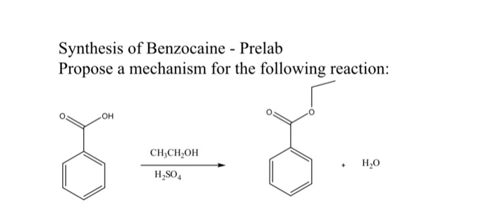 Benzocaine synthesis mechanism image