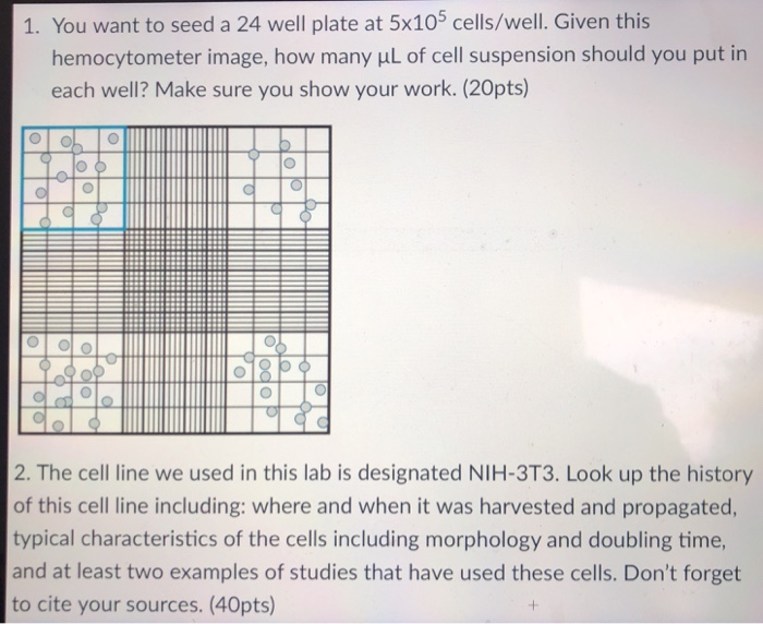 Solved 1 You Want To Seed A 24 Well Plate At 5x105 Cells