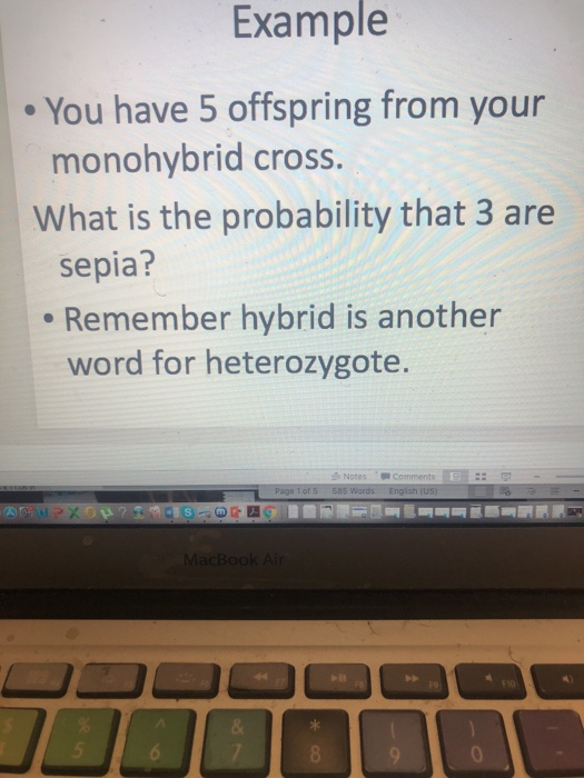 Example You Have 5 Offspring From Your Monohybrid Chegg Example You Have 5 Offspring From Your Monohybrid Cross What Is The Probability That 3