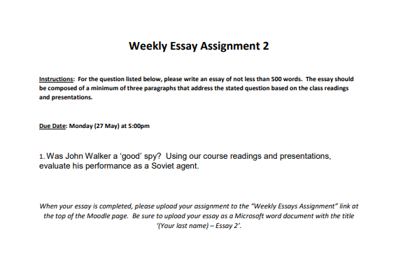 essay assignment instructions